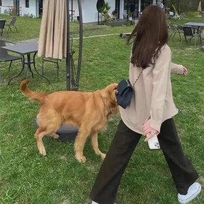 寻找阿尔塔米拉